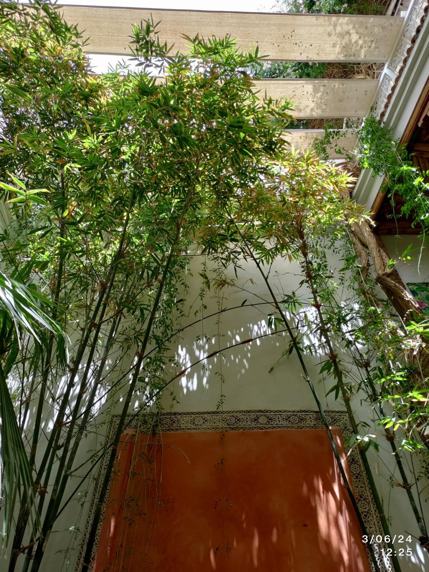 Made In Berbere Apartment Marrakesh Bagian luar foto