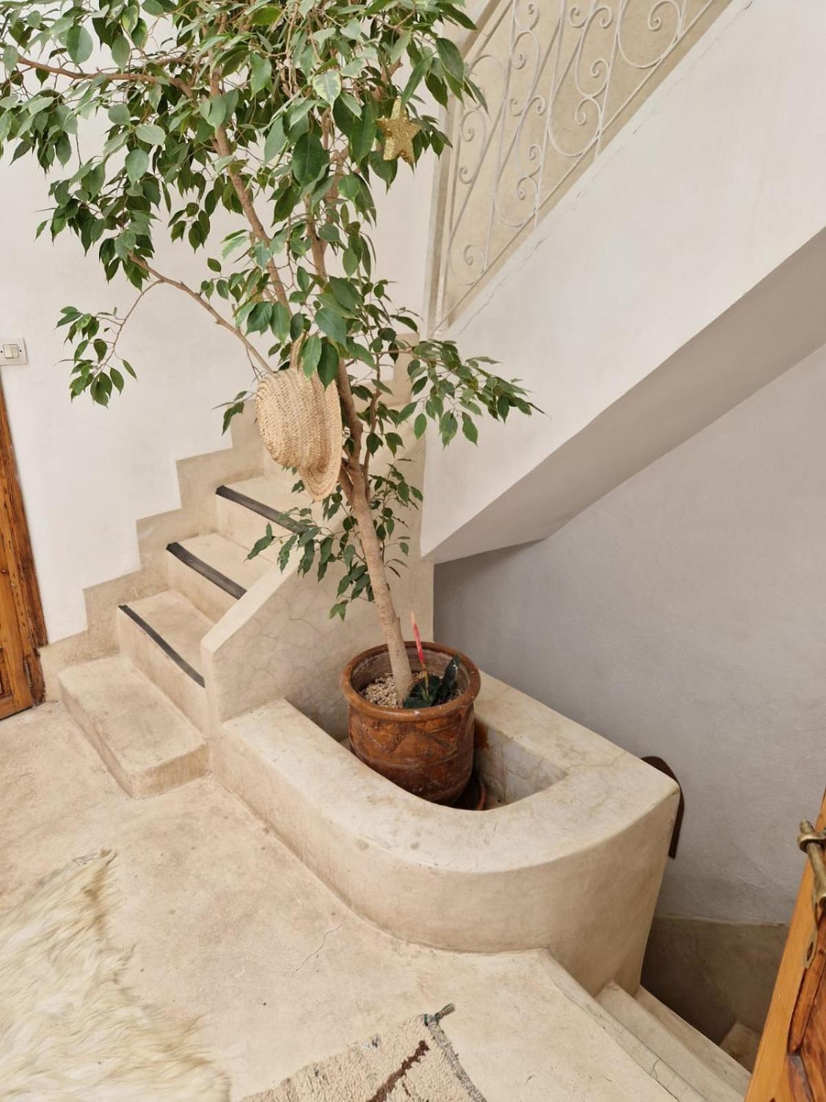 Made In Berbere Apartment Marrakesh Bagian luar foto
