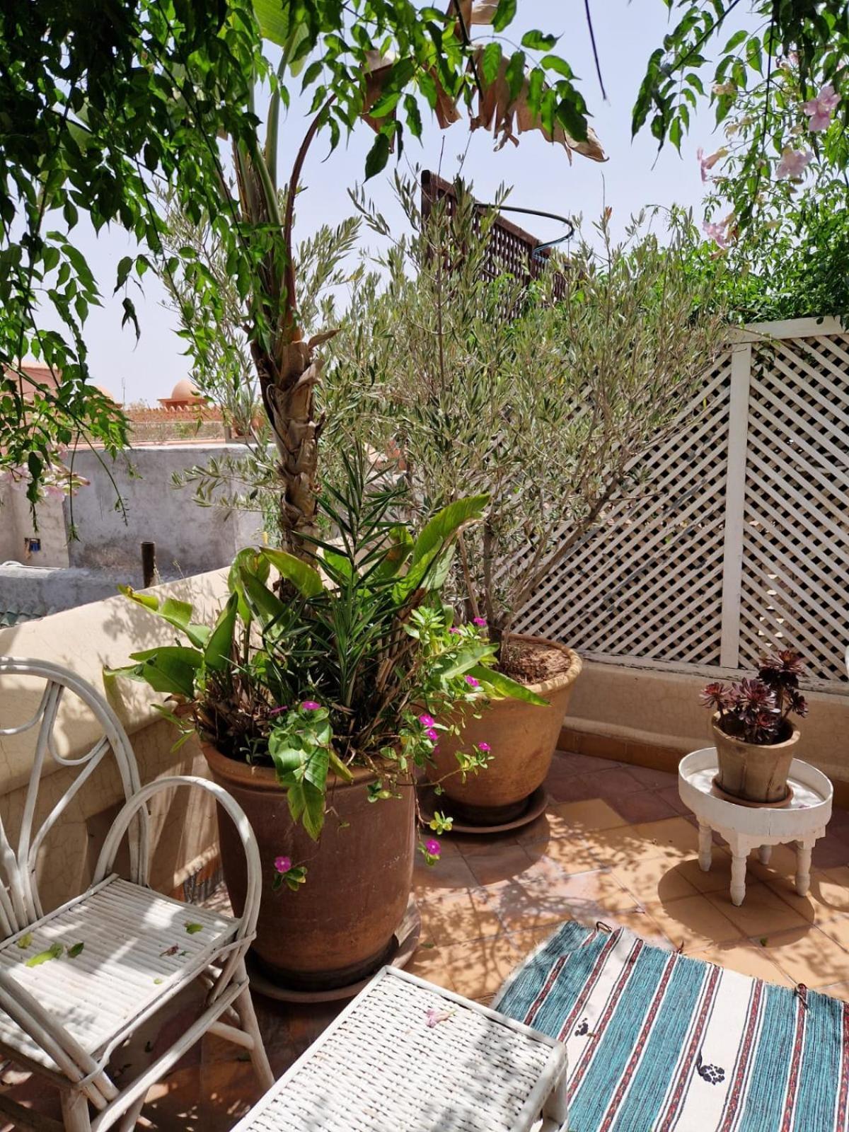 Made In Berbere Apartment Marrakesh Bagian luar foto