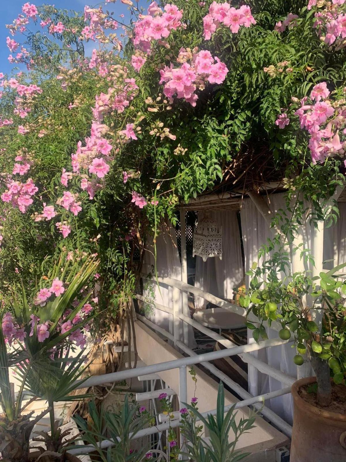 Made In Berbere Apartment Marrakesh Bagian luar foto